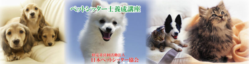 日本ペットシッター協会　ペットシッター
