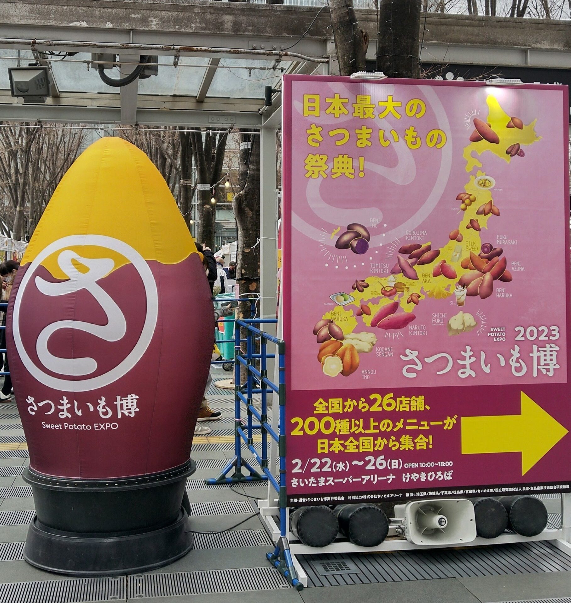 さつまいも博