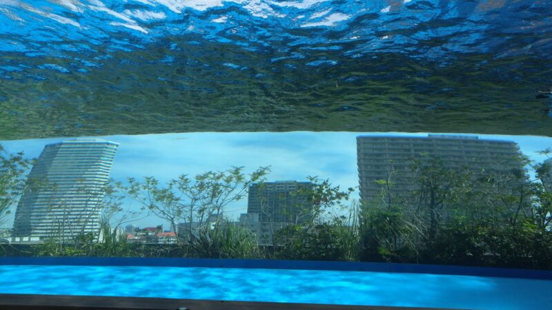 サンシャイン水族館