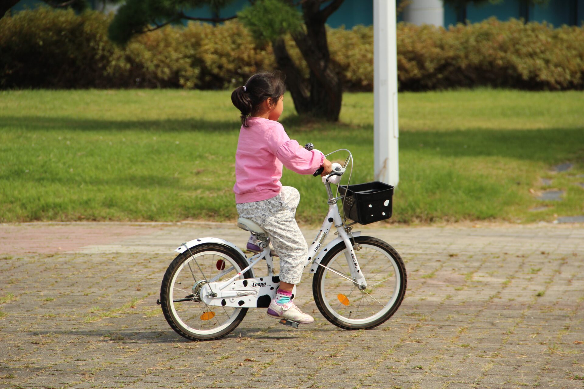 自転車　子供用自転車 子供