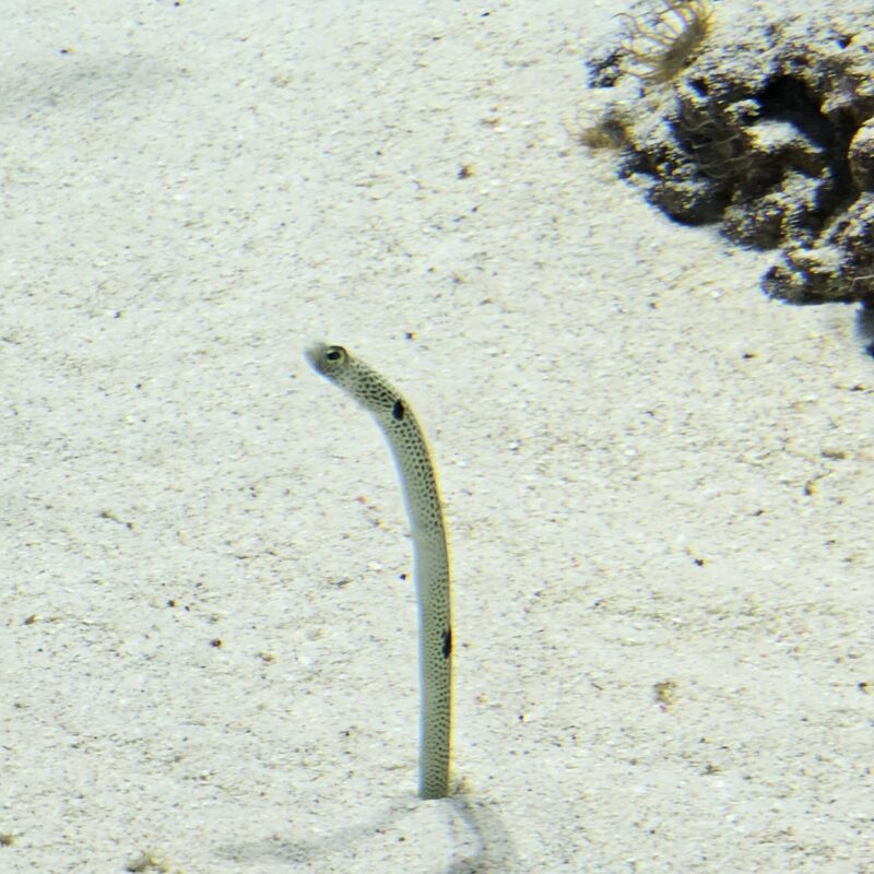 アクアワールド茨城県大洗水族館