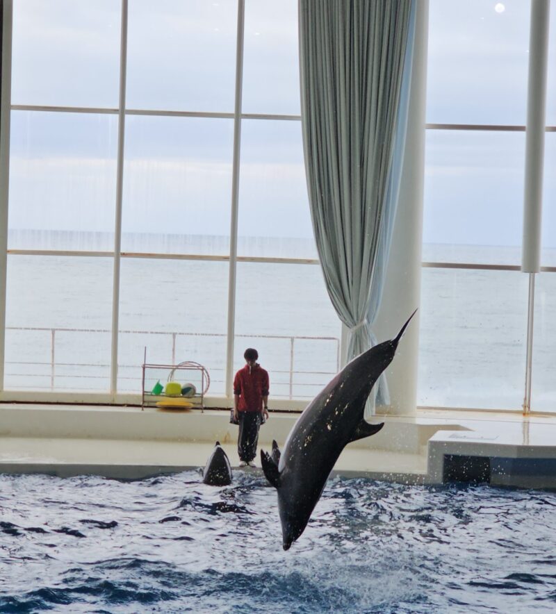 アクアワールド茨城県大洗水族館