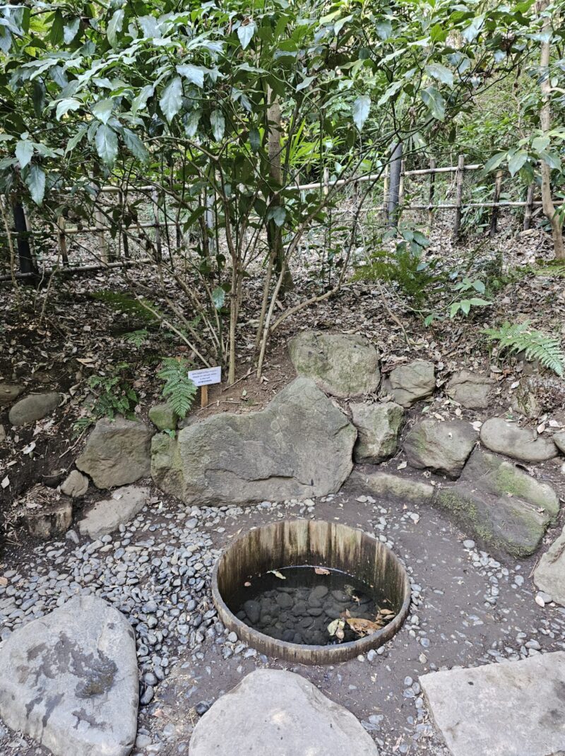 明治神宮　清正井　きよまさのいど