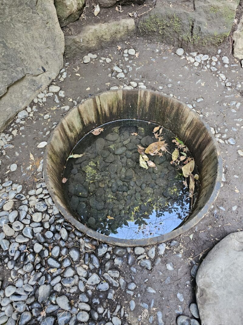 明治神宮　清正井　きよまさのいど